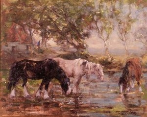 Paarden bij een poel door George Smith