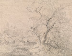 Landschap met voetbrug en grote boom