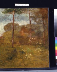 Oranje Weg, Tarpon Springs door George Snr. Inness