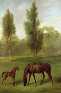 Een Kastanjebruine Merrie en Veulen in een Bosrijk Landschap, ca. 1761-63