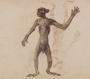 Een vergelijkende anatomische uiteenzetting van de structuur van het menselijk lichaam met dat van een tijger en een hoender:  Staande aap, vooraanzicht door George Stubbs