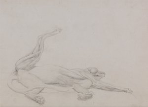 Een vergelijkende anatomische uiteenzetting van de structuur van het menselijk lichaam met dat van een tijger en een hoender:  Tijgerlichaam, liggend, centraal bekeken door George Stubbs