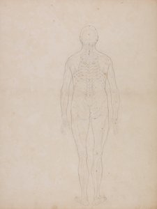 Een vergelijkende anatomische uiteenzetting van de structuur van het menselijk lichaam met dat van een tijger en een hoender: Menselijke figuur, achteraanzicht door George Stubbs