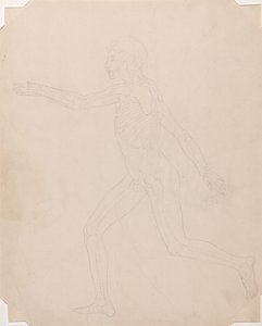 Een vergelijkende anatomische uiteenzetting van de structuur van het menselijk lichaam met dat van een tijger en een hoender: Menselijke figuur, zijaanzicht door George Stubbs