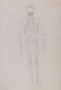 Een vergelijkende anatomische uiteenzetting van de structuur van het menselijk lichaam met dat van een tijger en een hoender: Human Figure, Posterior View (Schets van een sleutelfiguur in het laatste stadium van de ontleding) door George Stubbs
