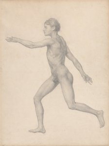 Een vergelijkende anatomische uiteenzetting van de structuur van het menselijk lichaam met dat van een tijger en een hoender: Menselijke figuur, zijaanzicht, niet ontleed (voltooide studie voor tabel VIII) door George Stubbs