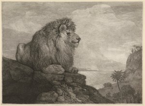 Een Leeuw [Een Leeuw rustend op een Rots]