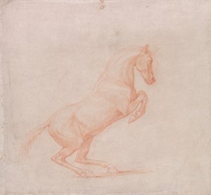 Een Steigerend Paard, naar Rechts door George Stubbs