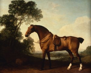 Een opgezadelde baai jager door George Stubbs