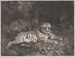 Een Tijger en een Slapende Luipaard door George Stubbs
