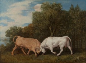 Vechtende stieren door George Stubbs