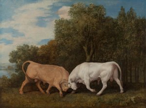 Vechtende Stieren door George Stubbs