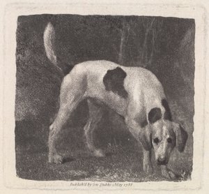 Hond (Een Foxhound op het Spoor) gegraveerd door de kunstenaar, uitgegeven 1788 door George Stubbs