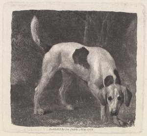Hond [Een Vosshond op het Spoor] door George Stubbs