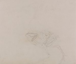 Dorking Hen Lichaam, Zijaanzicht (Studie van de spieren van het lichaam en ledematen in een later stadium van dissectie) door George Stubbs