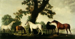Vijf Fokmerries op de Stoeterij van de Hertog van Cumberland in Windsor Great Park door George Stubbs
