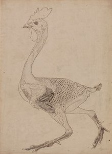 Kippenlichaam, zijaanzicht door George Stubbs