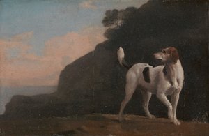 Foxhound door George Stubbs