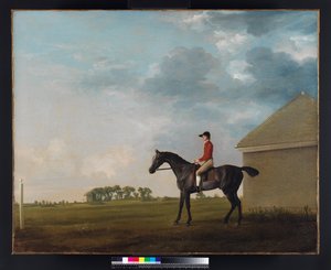Gimcrack met John Pratt op Newmarket Heath, 1765