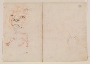 Hoofd van een leeuw, verso, 18e of 19e eeuw door George Stubbs