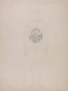 Menselijke figuur, vooraanzicht (omtrektekening) door George Stubbs