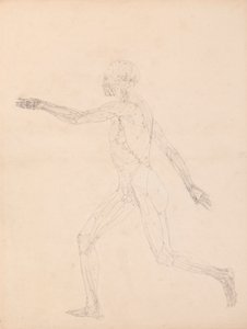Menselijke figuur, lateraal aanzicht (Voor de sleutel figuur naar Tabel XIII) door George Stubbs