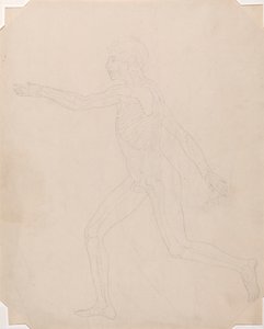 Menselijke figuur, zijaanzicht door George Stubbs