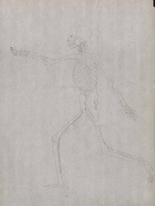 Menselijke figuur, zijaanzicht