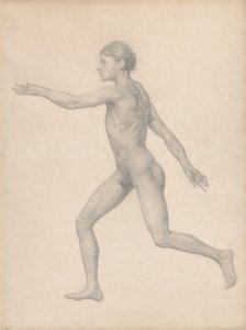 Menselijke Figuur, Lateraal Aanzicht, Ongedissecteerd (Afgewerkte Studie voor Tafel VIII)