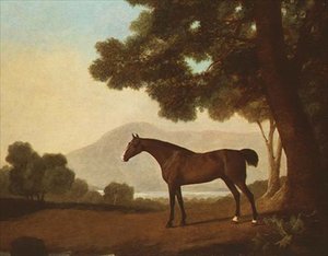 Johnny, een bay hengst in een bosrijk landschap door George Stubbs
