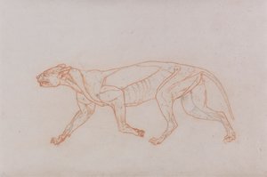 Luipaardlichaam, zijaanzicht door George Stubbs