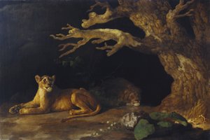 Leeuwin en grot