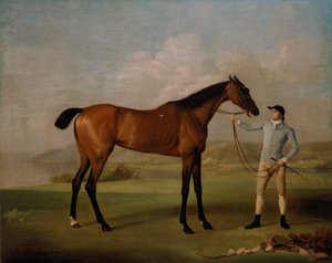 Molly Langbenen met haar Jockey door George Stubbs