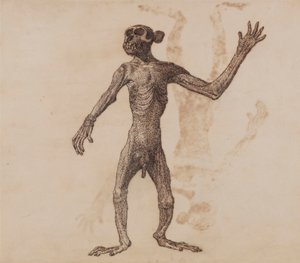 Staande aap, vooraanzicht door George Stubbs