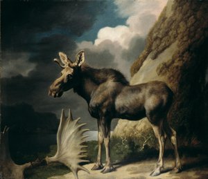 Eland, 1770 door George Stubbs