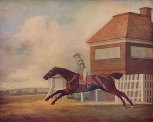 De Bay renpaard Trentham van Mr. Ogilvy op Newmarket met jockey, 1771 door George Stubbs