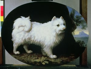 Portret van de witte schoothond van mevrouw French, 1782 door George Stubbs