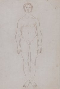 Studie van het Menselijk Lichaam, Vooraanzicht (Omtrektekening voor Tabel VI) door George Stubbs