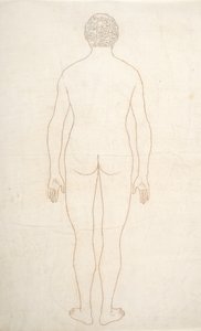 Studie van het menselijk lichaam, achteraanzicht, uit Een Vergelijkende Anatomische Expositie van de Structuur van het Menselijk Lichaam met die van een Tijger en een Gewone Vogel, c.1795-1806 door George Stubbs