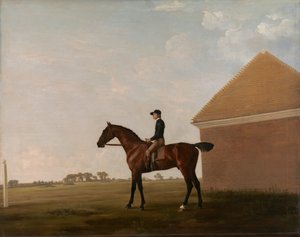 Turf, met jockey, in Newmarket door George Stubbs