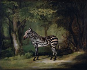 Zebra door George Stubbs