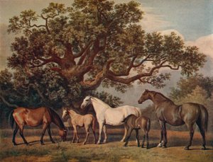 Broodmerries en veulens door George Townley Stubbs