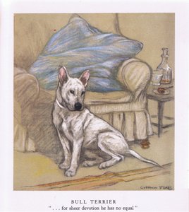 Bull Terrier (kleurenlitho)
