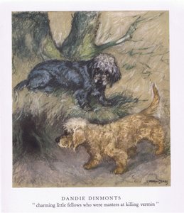 Dandie Dimonts (kleurenlitho)