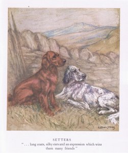 Zetters (kleurenlitho)
