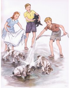 De honden wassen, van Pets Limited uitgegeven door Collins