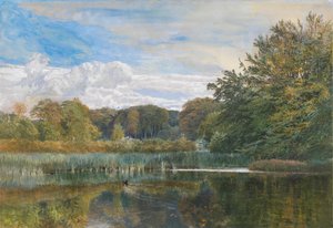 De molenvijver, Evelyn Woods