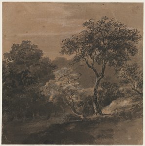 Landschap