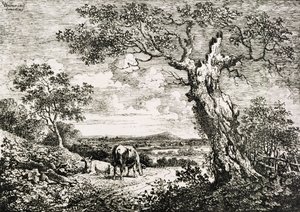 Twee koeien in een veld