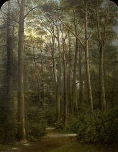 De Wildernis, 1857 door George Augustus Wallis